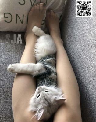 黄av免费_4K免费在线观看